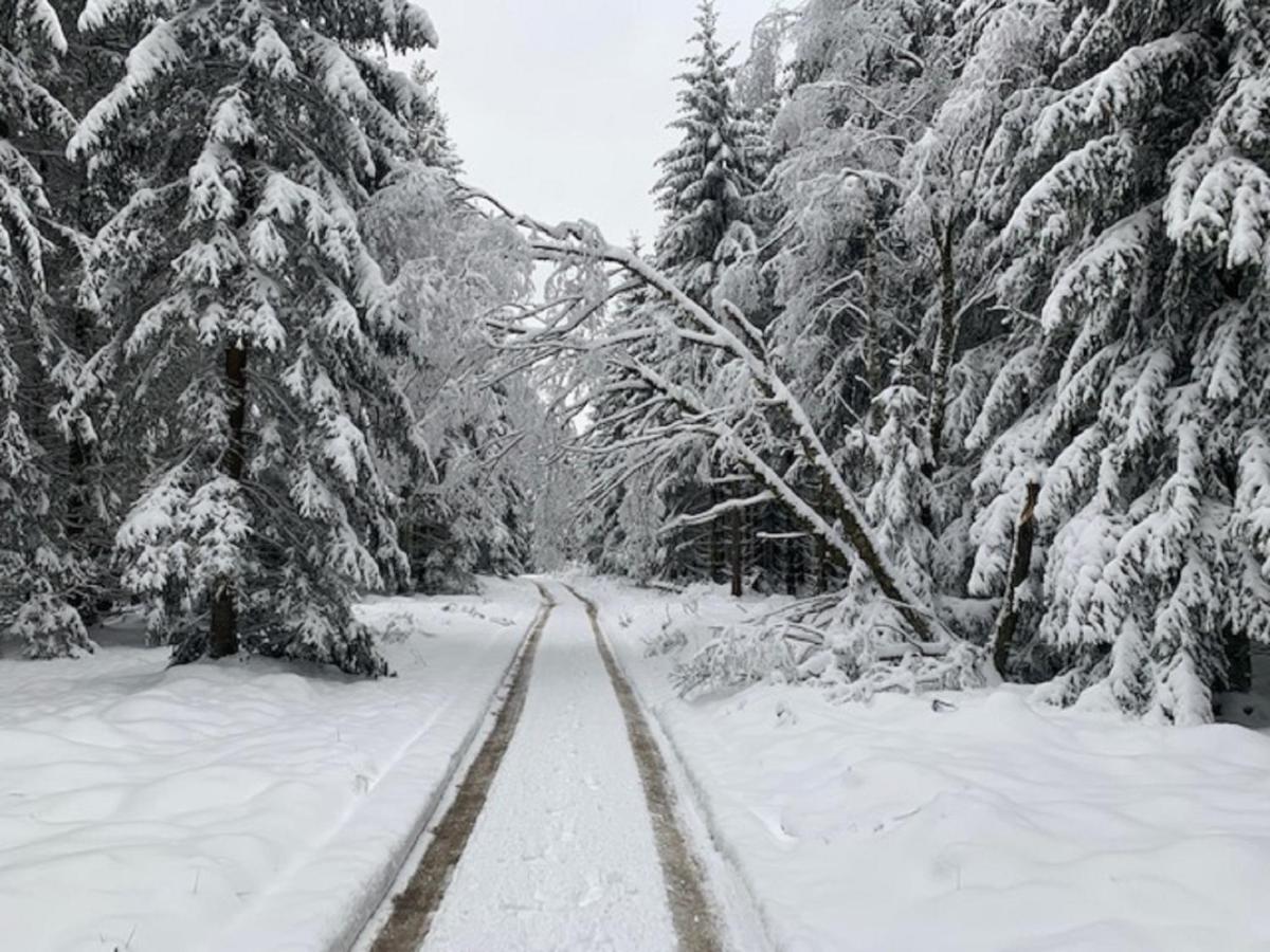 Ferienwohnung Bergstrasse Winterberg Eksteriør bilde